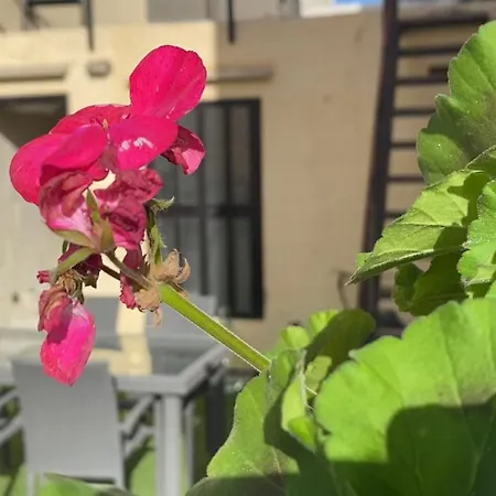 Town House - Soul Dive - *